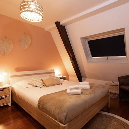 La Loge By "Cosy Morning" Havre De Paix Au Centre De Colmar, Ideal Pour 4 Personnes Ngoại thất bức ảnh